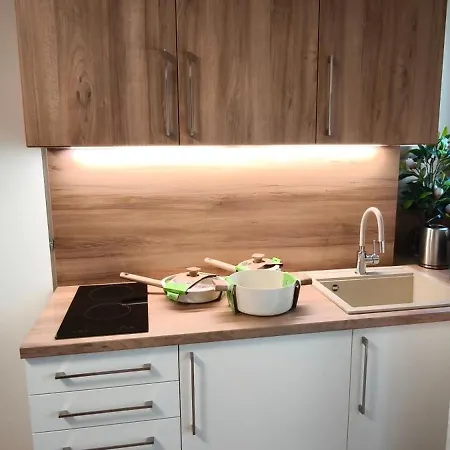 公寓 Pomposa Comfort Quattro View 利多波波萨